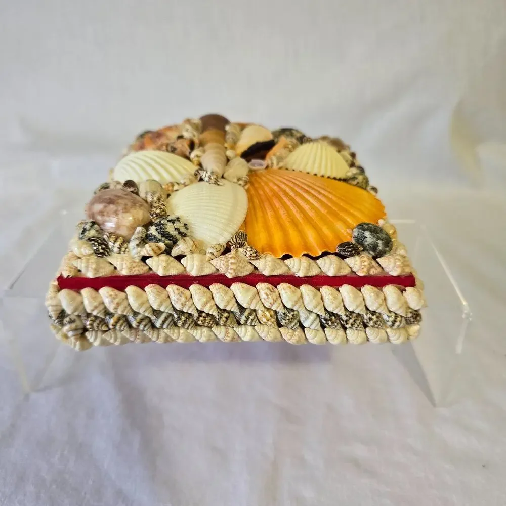 Shell Trinket Box Embellished Decorative Seashells 5.5